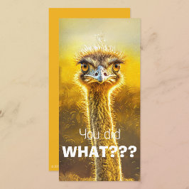 ¿¿¿Hiciste QUÉ???