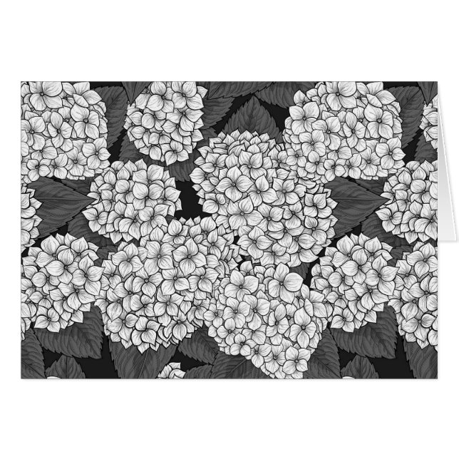 Hidrangea blanca (Anverso (Horizontal))