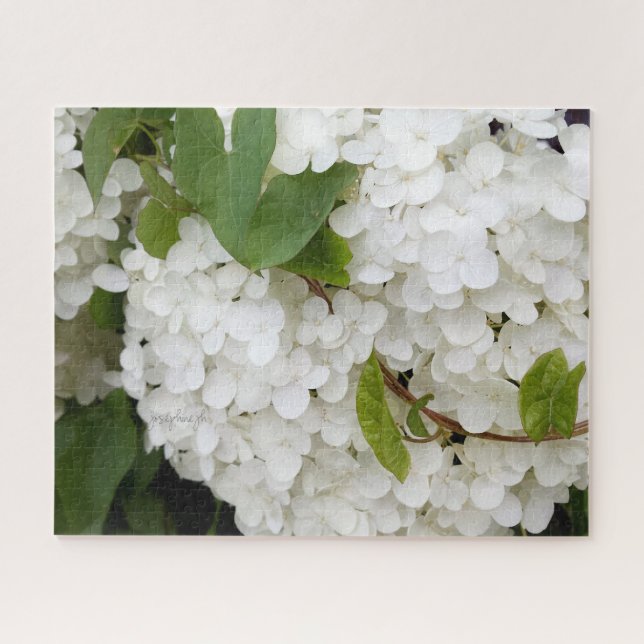 Hidrangea blanca 16 x 20 Rompecabezas por jjhelene (Horizontal)