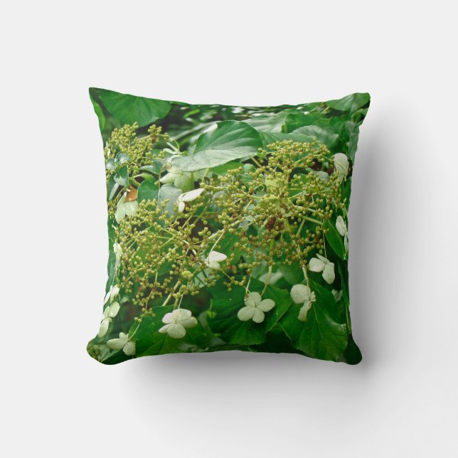 Hidrangea de escalada blanca - almohada (Anverso)