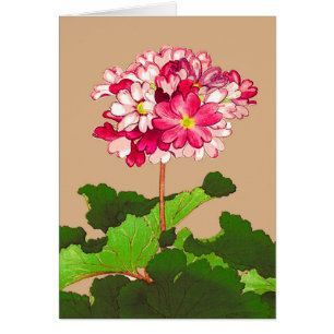 Hidrangea japonesa vintage. Rosa y Verde