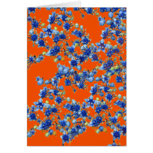 hidrangea naranja y azul