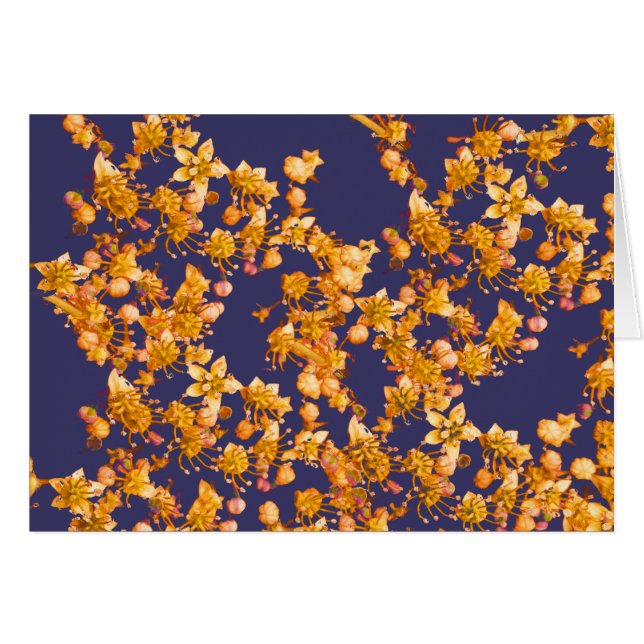 hidrangea naranja y marina (Anverso (Horizontal))