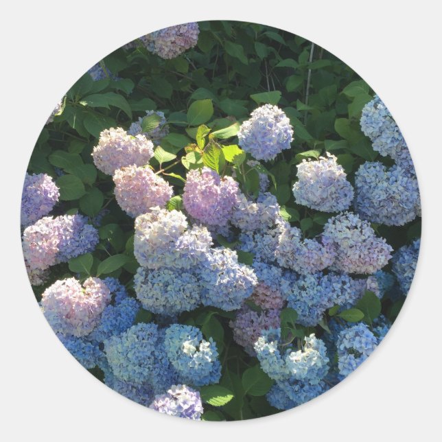 Hidrangea Pegatinas Sellos para sobres con flores (Anverso)