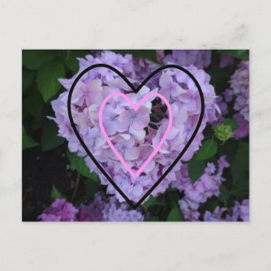 Hidrangea púrpura en la tarjeta postal del corazón
