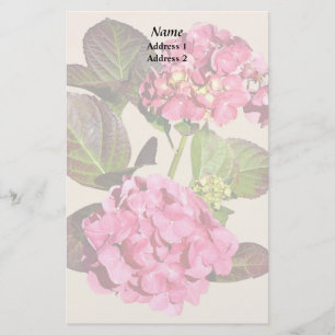Hidrangea Rosa Con Hojas Productos Bodas
