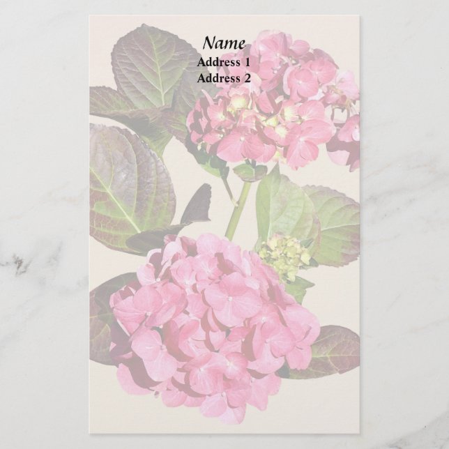 Hidrangea Rosa Con Hojas Productos Bodas (Anverso)