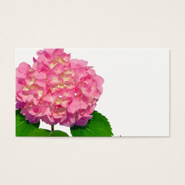 Hidrangea rosa Flor rosa rosa floral rosa (Frente)
