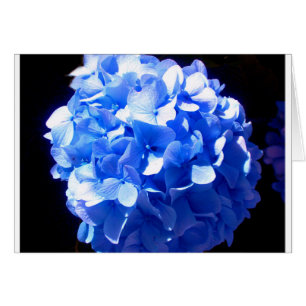 Hidrenajes azules florales de cobalto elegantes az