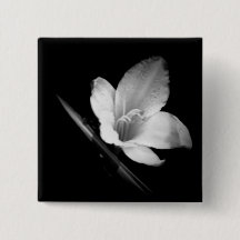 Hielo de Lilly 1 botón