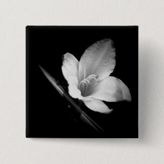 Hielo de Lilly 1 botón