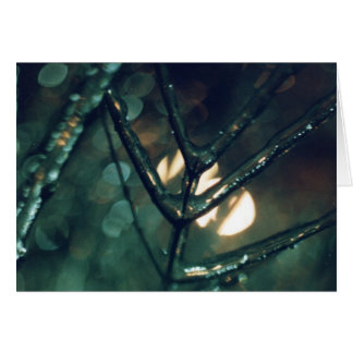 Hielo, noche, luz