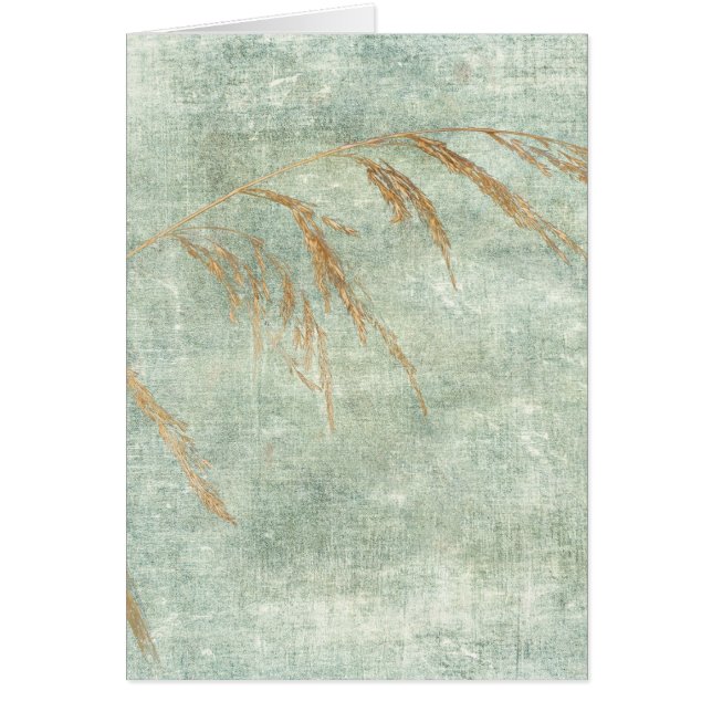 Hierba salvaje (Frente)