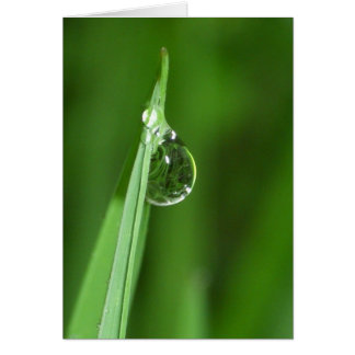 Hierba verde y gota de agua con reflexión