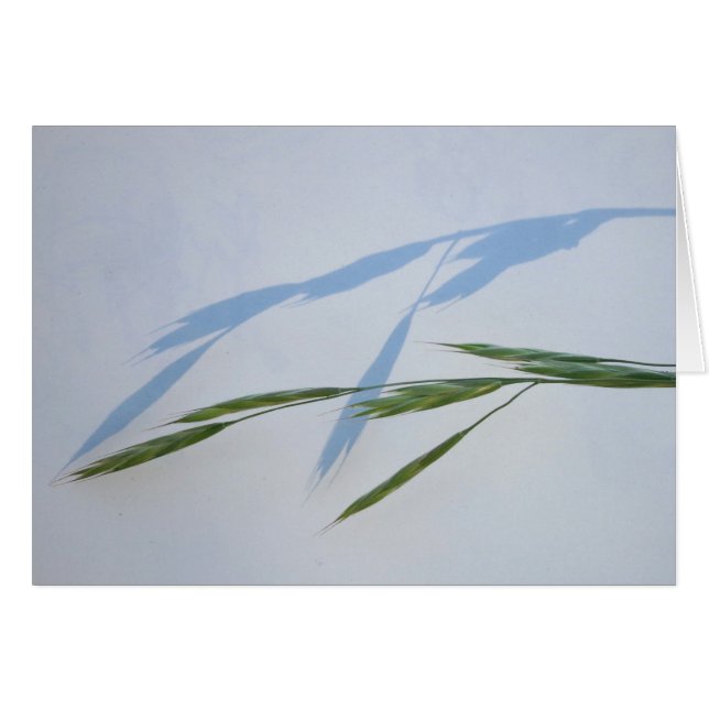 Hierba y sombra (Anverso (Horizontal))