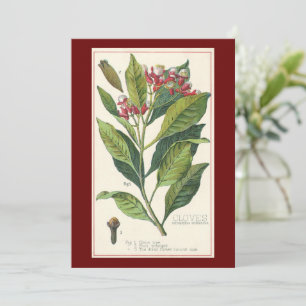 Hierbas alimenticias vintage especias, tendedero