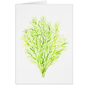 Hierbas Dill acuarela