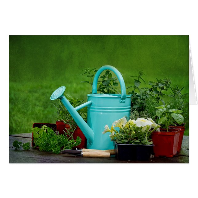 Hierbas/flores/que cultivan un huerto - tarjeta en (Anverso (Horizontal))