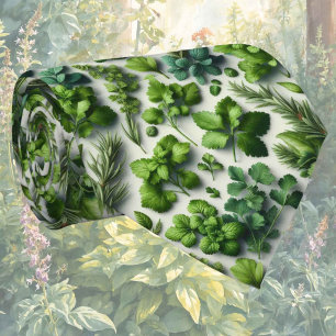 Hierbas Frescas de Jardín   Corbata de Cuello de C