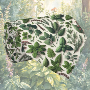 Hierbas Frescas de Jardín Corbata de Cuello de C
