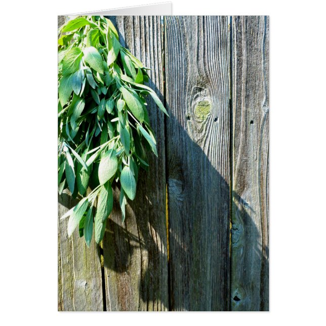 Hierbas verdes botánicas grano de madera afligido (Frente)