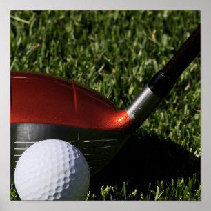 Hierro del golf e impresión de la bola