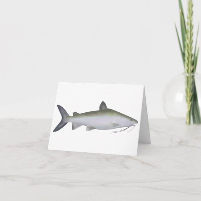 Highfin Catfish (Anverso)