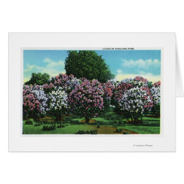 Highland Park Lilacs en Bloom (Anverso (Horizontal))