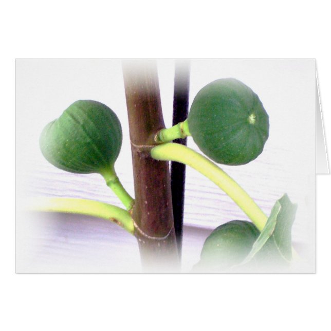 higos verdes (Anverso (Horizontal))