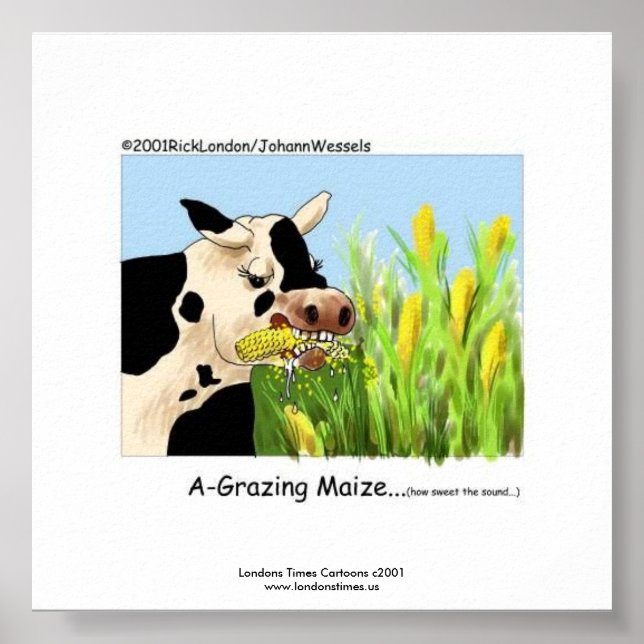 Hilarante impresión enmarcada de vaca "Maíz A-Graz (Frente)