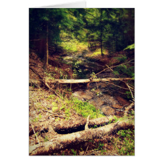 Hilton Creek