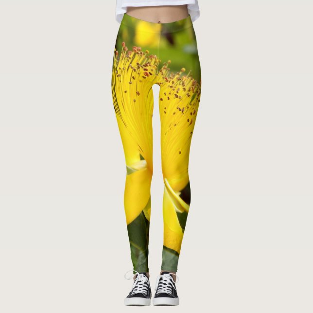 Hipericum Calcyinum Leggings (Anverso)