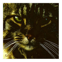 Hipnotización del arte digital del gato Hipnosis