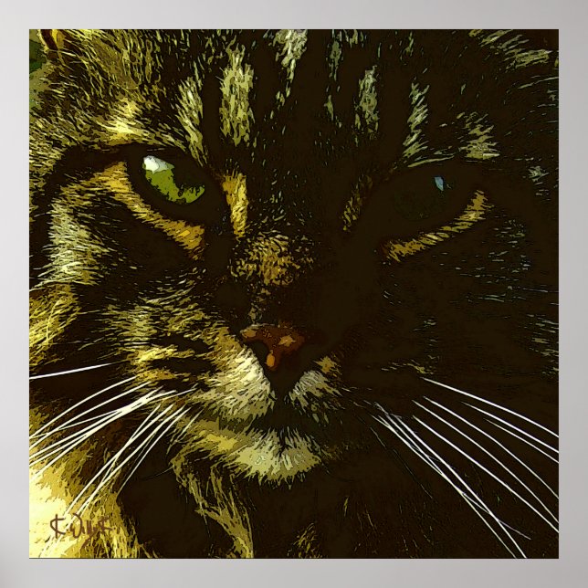 Hipnotización del arte digital del gato Hipnosis (Frente)