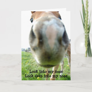 Hipnotizador de caballo con tarjeta de cumpleaños 