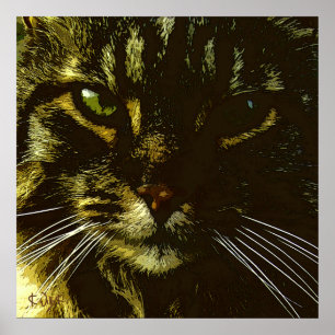 Hipnotizar hipnosis del arte de Digitaces del gato