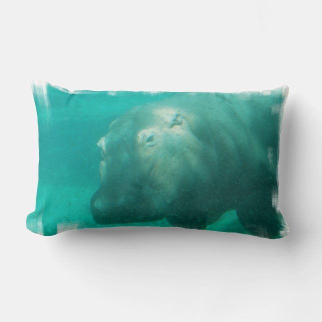 Hipopótamo debajo de la almohada del agua (Anverso)