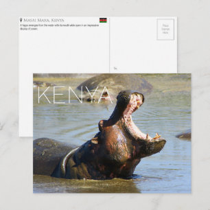 Hipopótamo en Masai Mara, Kenia Tarjeta Postal de 