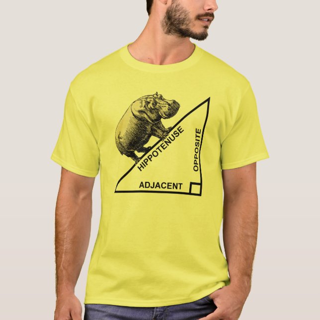 Hipotenusa Hipotenusa Camiseta Divertida de Matemá (Anverso)