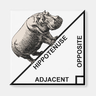 Hipotenuza Hipotenusa divertida imán de geometría