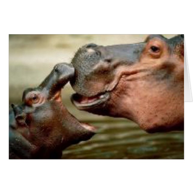 HIPPO (Anverso (Horizontal))