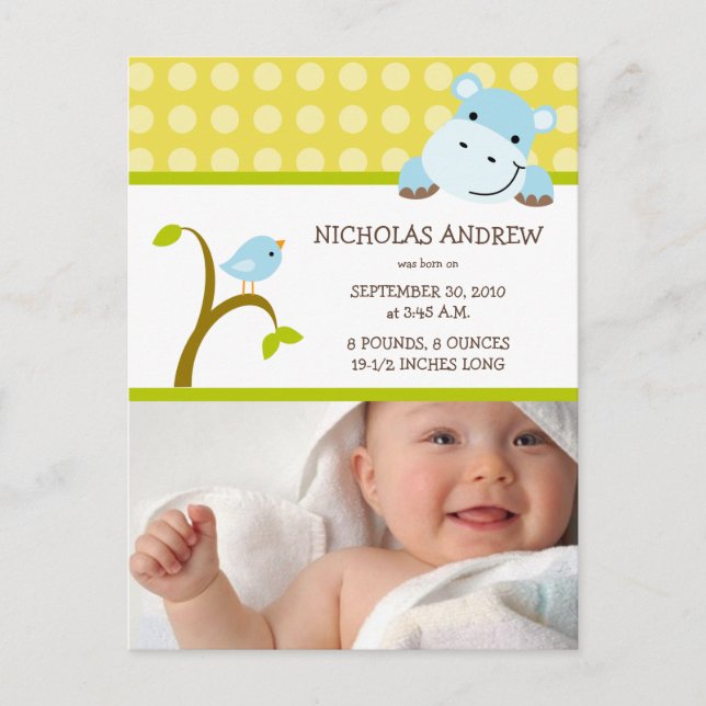 Hippo y Birdie Baby Boy Anuncio (Anverso)