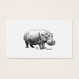 Hippopotamus