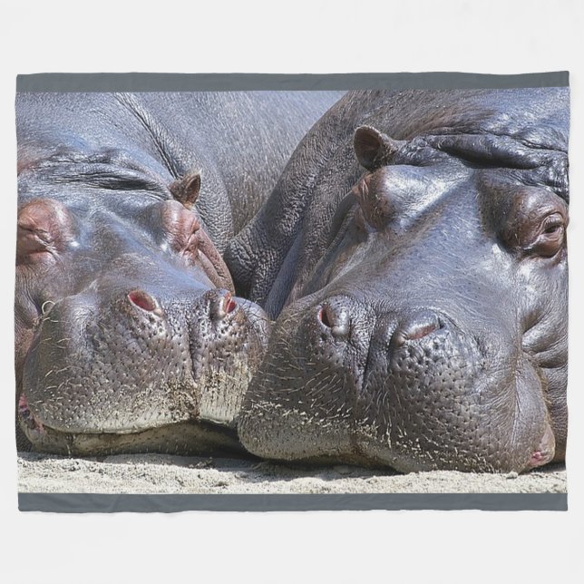 Hippopotamus en la manta grande del paño grueso y (Frente (Horizontal))