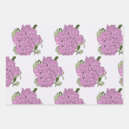 Hirganda rosa, hojas de embalaje verdes y rosas