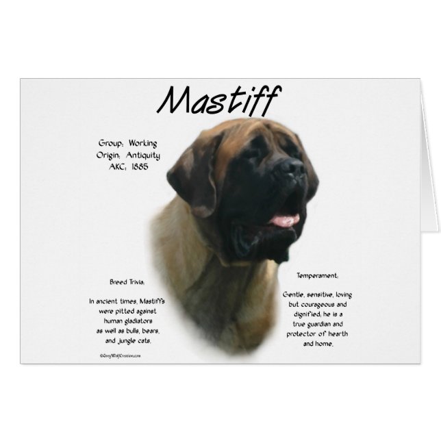 Historia de Apricot Mastiff (Anverso (Horizontal))