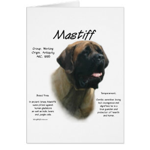 Historia de Apricot Mastiff