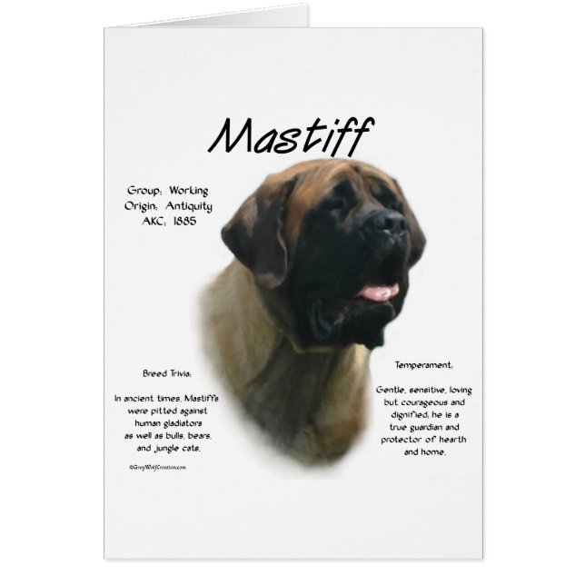 Historia de Apricot Mastiff (Frente)