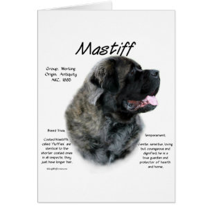 Historia de Brindle Fluffy Mastiff