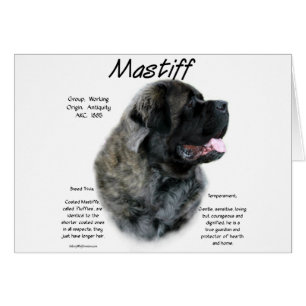 Historia de Brindle Fluffy Mastiff
